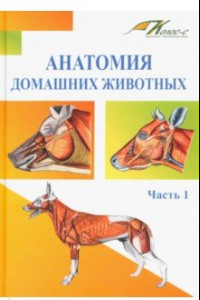 Книга Анатомия домашних животных. Учебник. Часть 1