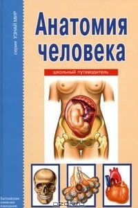 Книга Анатомия человека