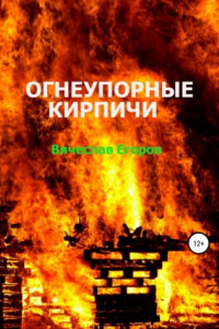 Книга Огнеупорные кирпичи