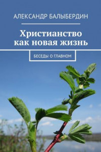 Книга Христианство как новая жизнь. Беседы о главном