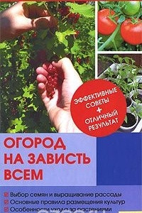 Книга Огород на зависть всем