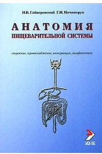 Книга Анатомия пищеварительной системы. Строение, кровоснабжение, иннервация, лимфоотток