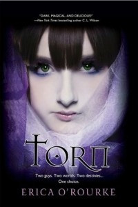 Книга Torn