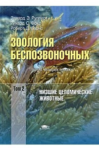 Книга Зоология беспозвоночных: Функциональные и эволюционные аспекты: В 4 т.Т. 2