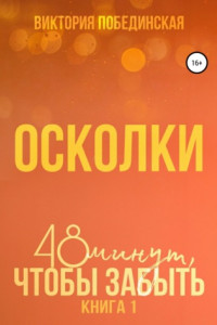 Книга 48 минут, чтобы забыть. Осколки