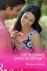 Книга The Husband She'd Never Met