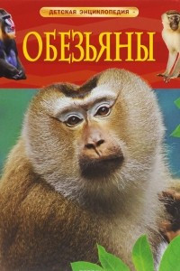 Книга Обезьяны