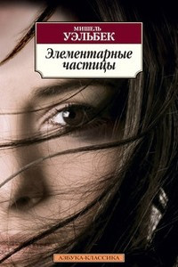 Книга Элементарные частицы