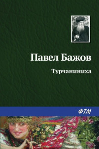 Книга Турчаниниха