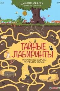 Книга Тайные лабиринты. Большая книга лабиринтов