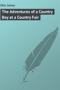 Книга The Adventures of a Country Boy at a Country Fair