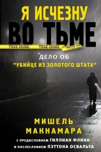 Книга Я исчезну во тьме