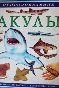 Книга Акулы