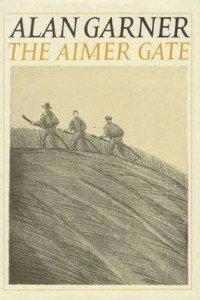 Книга The Aimer Gate