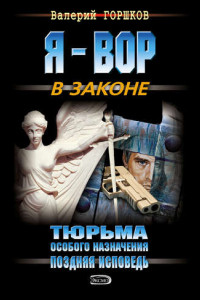 Книга Поздняя исповедь