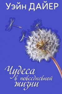 Книга Чудеса в повседневной жизни