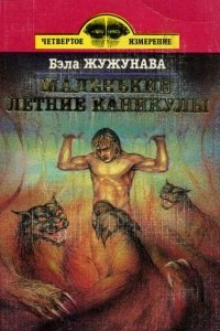 Книга Маленькие летние каникулы