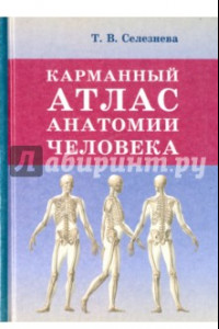 Книга Карманный атлас анатомии человека