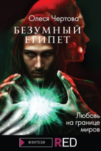 Книга Безумный Египет