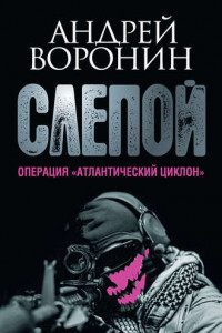 Книга Слепой. Операция «Атлантический циклон»