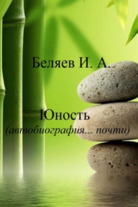 Книга Юность. Автобиография… почти. Книга вторая. Цикл «Додекаэдр. Серебряный аддон»