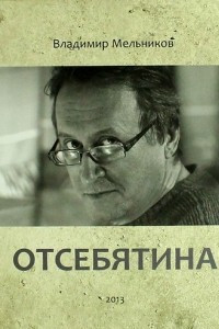 Книга Отсебятина