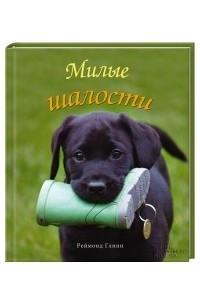 Книга Милые шалости