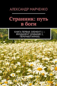 Книга Странник: путь в боги. Книга первая: элемент 1 – фундамент