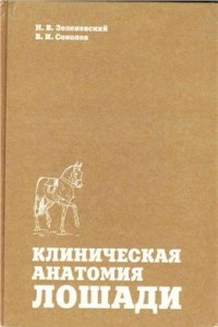 Книга Клиническая анатомия лошади