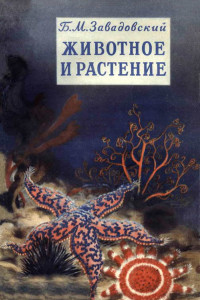 Книга Животное и растение