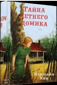 Книга Тайна летнего домика