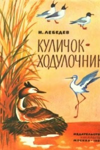 Книга Куличок-ходулочник