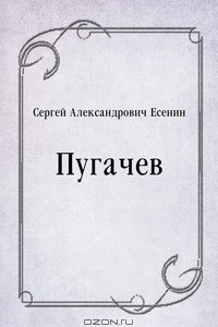 Книга Пугачев