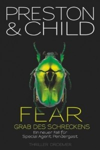 Книга Fear - Grab des Schreckens