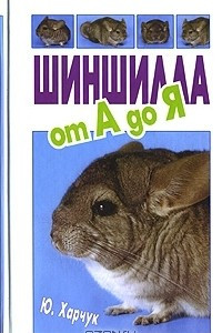 Книга Шиншилла от А до Я