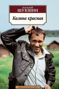 Книга Калина красная. Печки-лавочки. Живет такой парень. Позови меня в даль светлую… Брат мой…