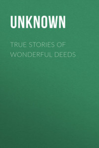 Книга True Stories of Wonderful Deeds