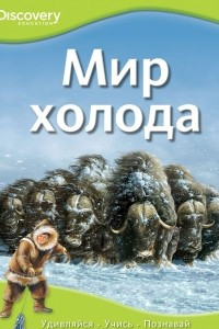 Книга Мир холода