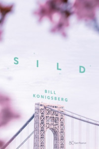 Книга Sild