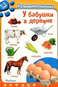 Книга У бабушки в деревне