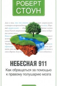 Книга Небесная 911. Как обратиться за помощью к правому полушарию мозга