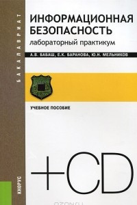 Книга Информационная безопасность