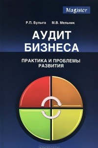 Книга Аудит бизнеса. Практика и проблемы развития