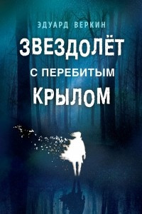 Книга Звездолёт с перебитым крылом. Каникулы что надо