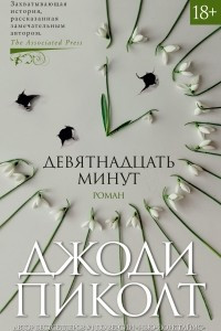 Книга Девятнадцать минут