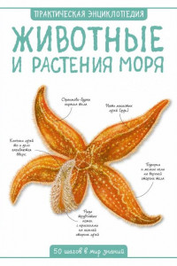 Книга Животные и растения моря