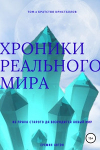 Книга Хроники Реального мира. Том 6. Братство кристаллов