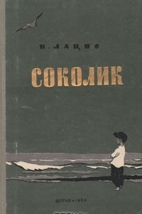 Книга Соколик