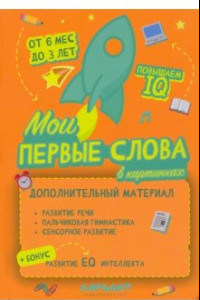 Книга Мои первые слова в картинках