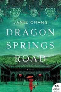 Книга Dragon Springs Road